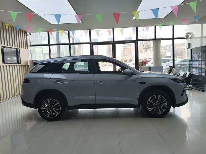 BYD Song Pro Hybrid 2026 2026款 DM-i 133KM超越型