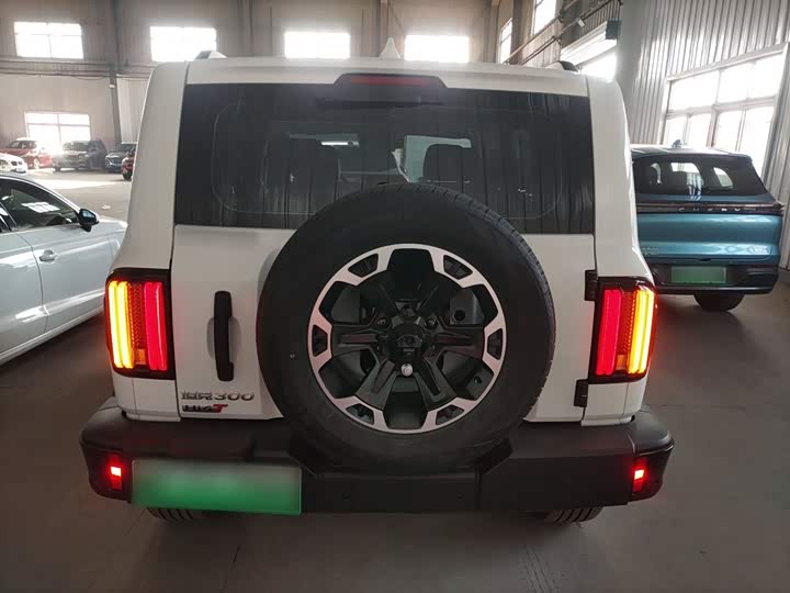 Tank 300 Hybrid 2025 2025款 Hi4-T 37.1kWh