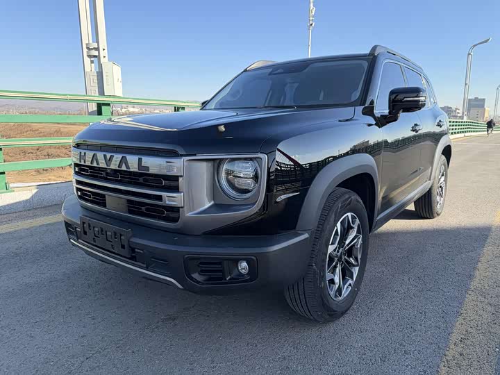 Haval Dargo 2024 2024款 2.0T DCT中华田园犬版