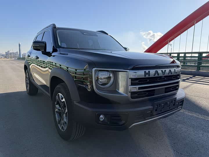Haval Dargo 2024 2024款 2.0T DCT中华田园犬版