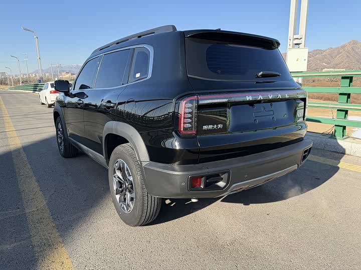 Haval Dargo 2024 2024款 2.0T DCT中华田园犬版