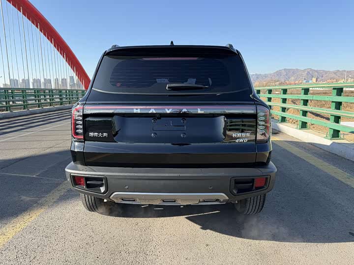 Haval Dargo 2024 2024款 2.0T DCT中华田园犬版