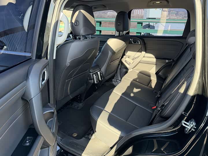 Haval Dargo 2024 2024款 2.0T DCT中华田园犬版