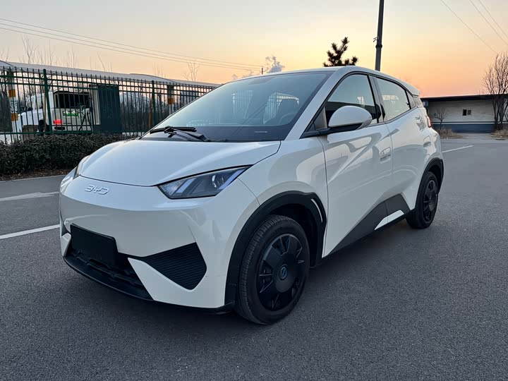 BYD Seagull 2025 2025款 智驾版 305km 活力版