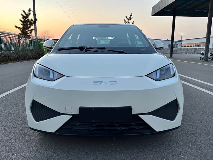 BYD Seagull 2025 2025款 智驾版 305km 活力版