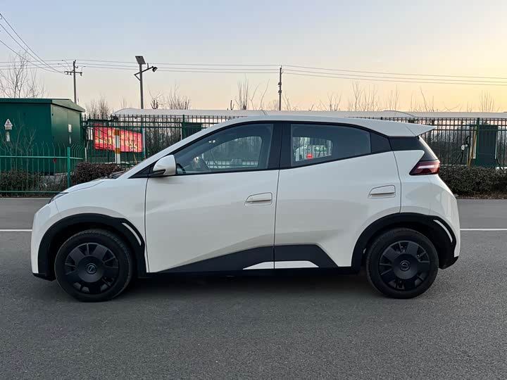 BYD Seagull 2025 2025款 智驾版 305km 活力版