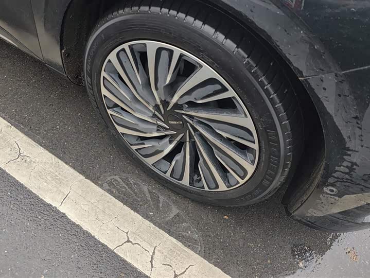 Exeed Sterra ET 2025 2025款 纯电 625 Pro两驱城区辅助驾驶