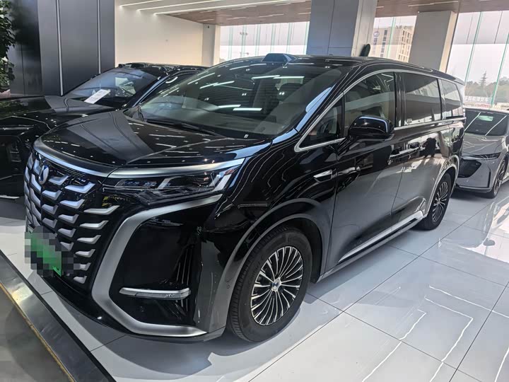 Denza D9 2025 2025款 DM-i 智驾版 1020 四驱尊荣型