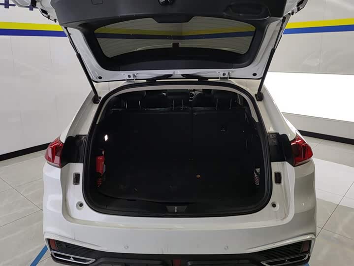 Wey VV5 2021 2021款 1.5T 两驱颜先锋