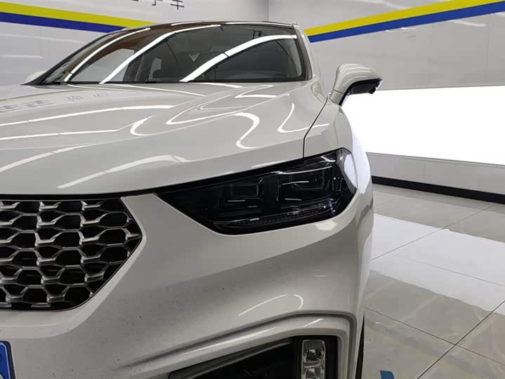 Wey VV5 2021 2021款 1.5T 两驱颜先锋