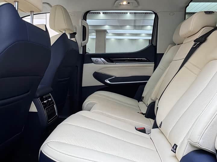 Great Wall Shanhai Poer 2023 2023款 2.4T 柴油极享牵引版