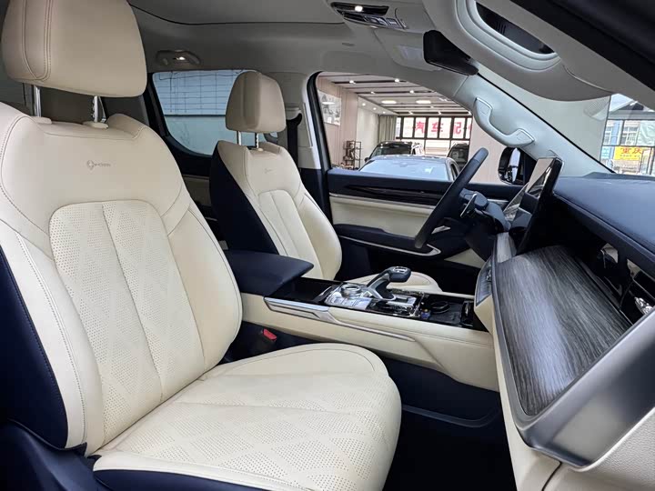 Great Wall Shanhai Poer 2023 2023款 2.4T 柴油极享牵引版