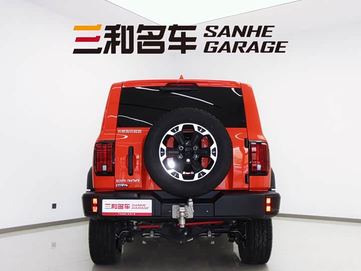 Tank 300 Hybrid 2025 2025款 Hi4-T 37.1kWh