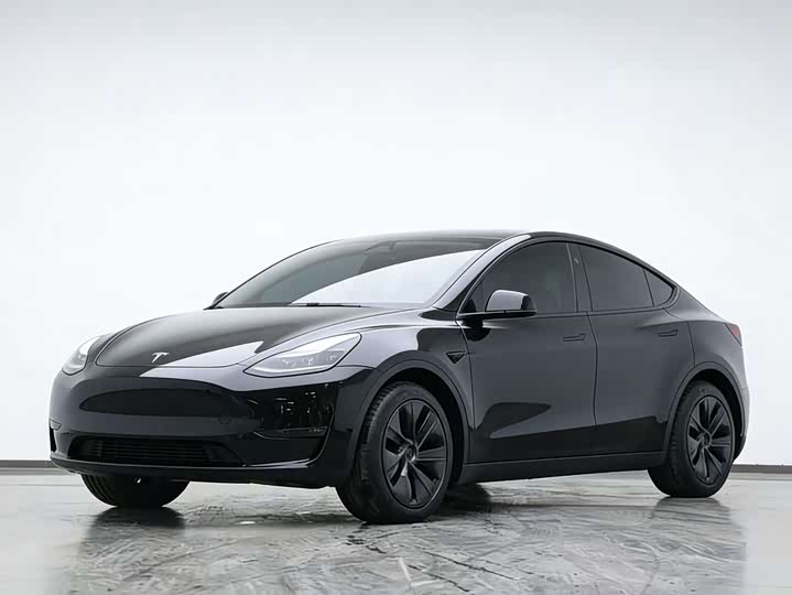 Tesla Model Y 2024 2024款 后轮驱动版