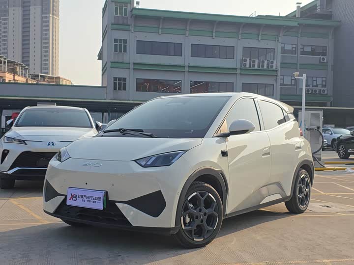 BYD Seagull 2025 2025款 智驾版 305km 自由版