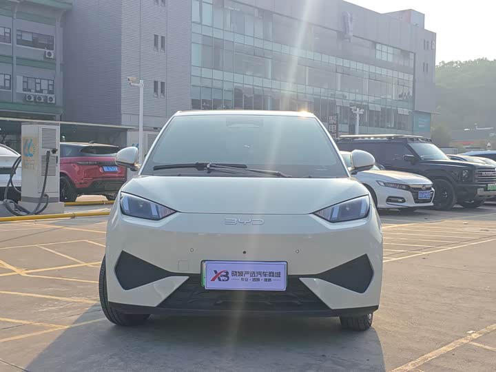 BYD Seagull 2025 2025款 智驾版 305km 自由版