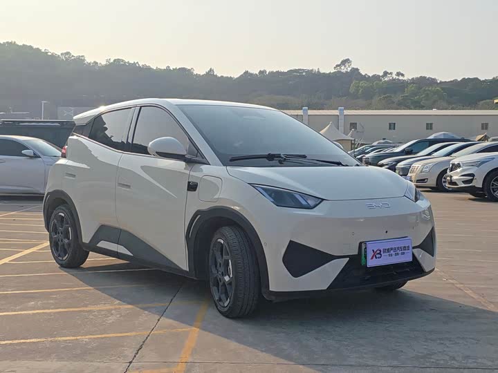 BYD Seagull 2025 2025款 智驾版 305km 自由版