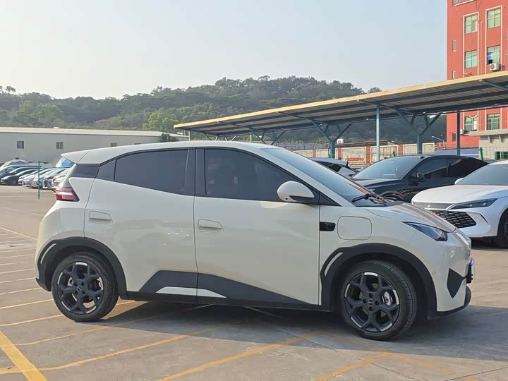 BYD Seagull 2025 2025款 智驾版 305km 自由版