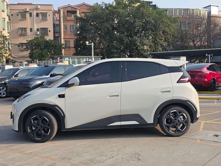 BYD Seagull 2025 2025款 智驾版 305km 自由版