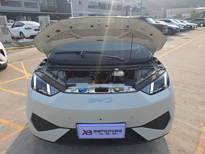 BYD Seagull 2025 2025款 智驾版 305km 自由版