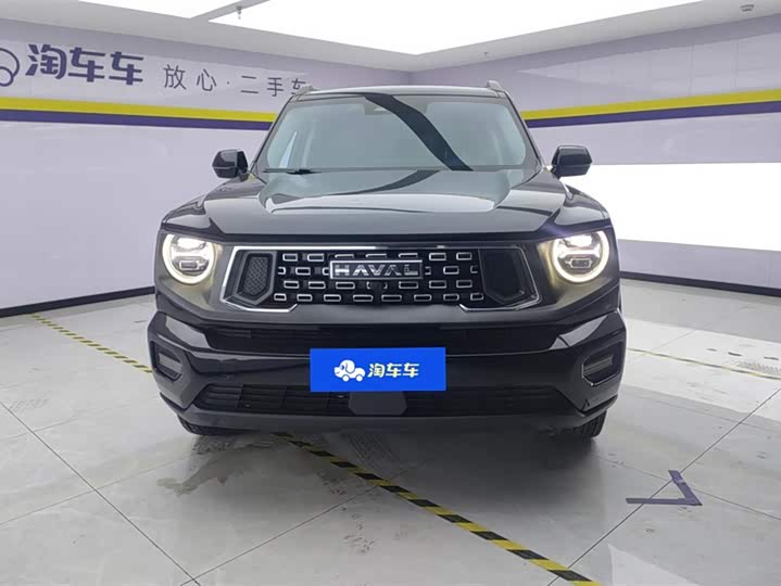 2023 Haval H-Dog