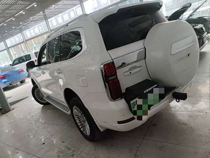 Tank 500 Hybrid 2025 2025款 Hi4-Z