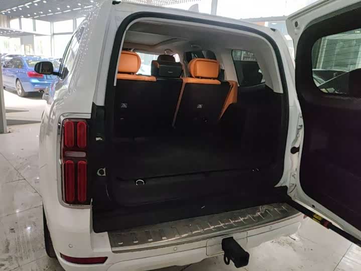 Tank 500 Hybrid 2025 2025款 Hi4-Z