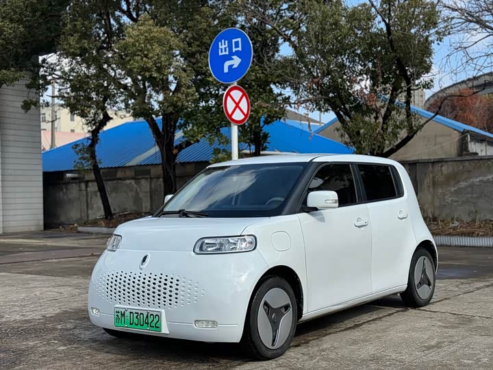 Ora White Cat 2022 2022款 小野猫版 360km 豪华型 三元锂