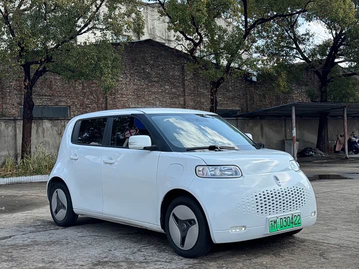 Ora White Cat 2022 2022款 小野猫版 360km 豪华型 三元锂