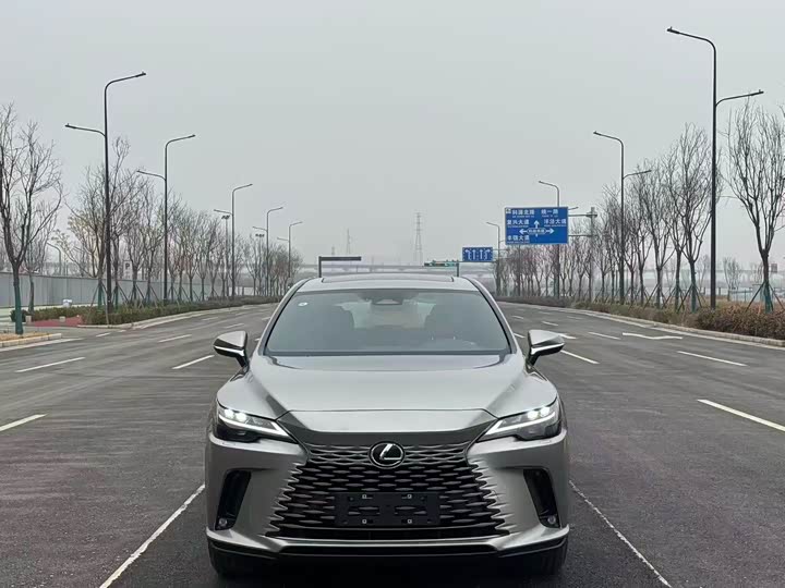 2025 Lexus RX