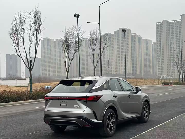 Lexus RX 2025 2025款 300 四驱骏享版