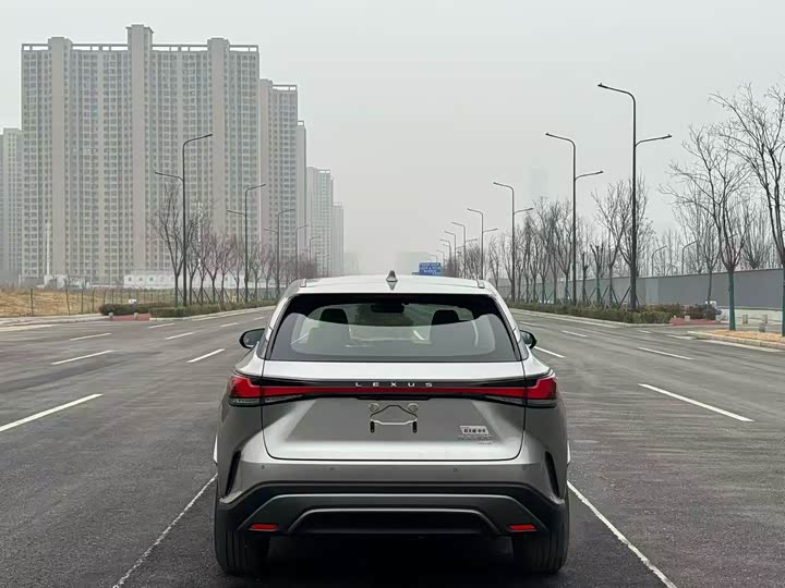 Lexus RX 2025 2025款 300 四驱骏享版
