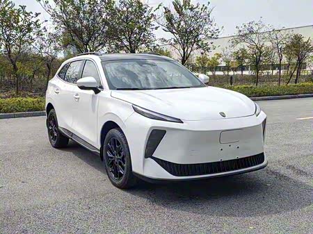 Dongfeng Forthing Leiting 2025 2025款 230 豪华版