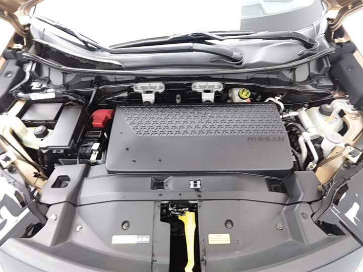 Nissan Ariya EV 2022 2022款 两驱长续航顶配版