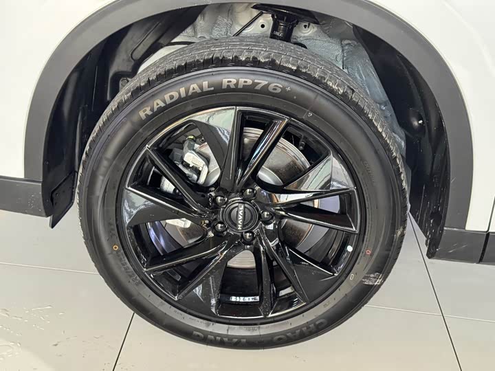 Haval H6 2024 2024款 1.5T 两驱Max