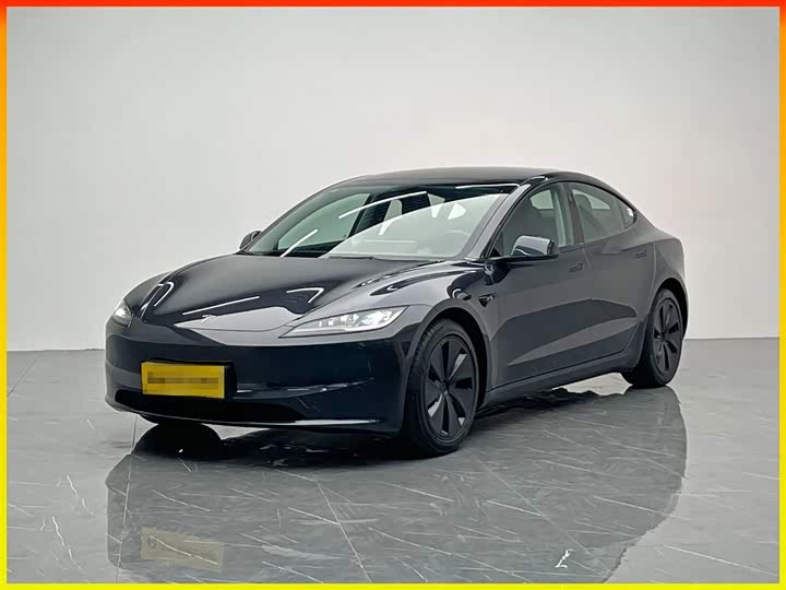 Tesla Model 3 2025 2025款 后轮驱动版