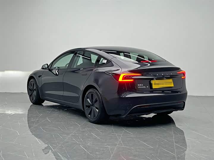 Tesla Model 3 2025 2025款 后轮驱动版