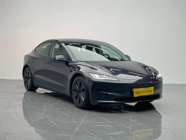 Tesla Model 3 2025 2025款 后轮驱动版