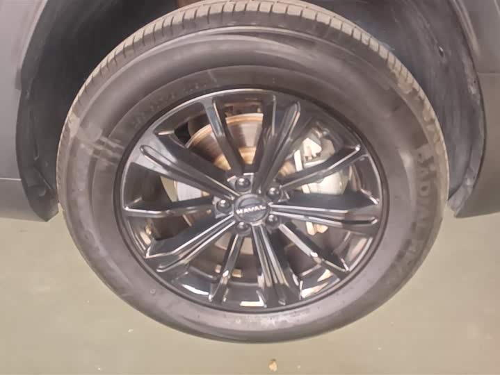 Haval Raptor Hybrid 2024 2024款 Hi4 145 穿越版