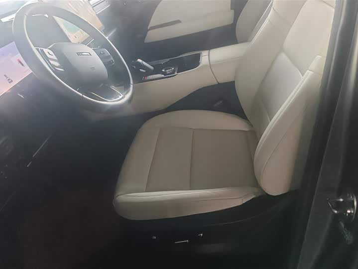 Haval Raptor Hybrid 2024 2024款 Hi4 145 穿越版