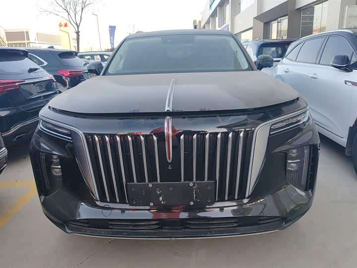 Hongqi E-HS9 2022 2022款 690km 旗享版 六座