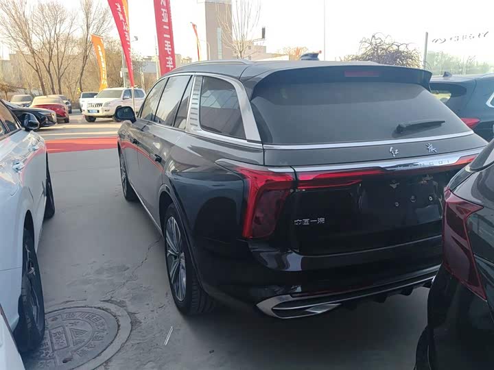 Hongqi E-HS9 2022 2022款 690km 旗享版 六座