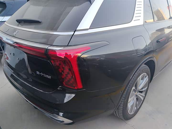 Hongqi E-HS9 2022 2022款 690km 旗享版 六座