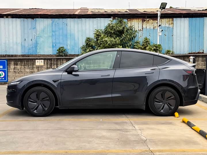 Tesla Model Y 2025 2025款 后轮驱动版