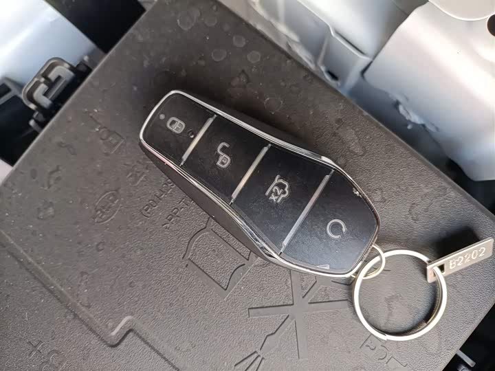 BYD Seal 05 DM-i Hybrid 2025 2025款 DM-i 智驾版 55KM豪华型