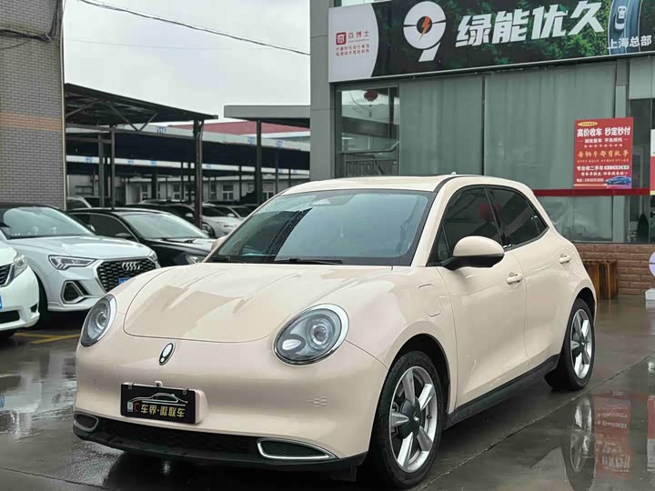 Ora Good Cat (03) 2024 2024款 401km 尊荣型 126kW