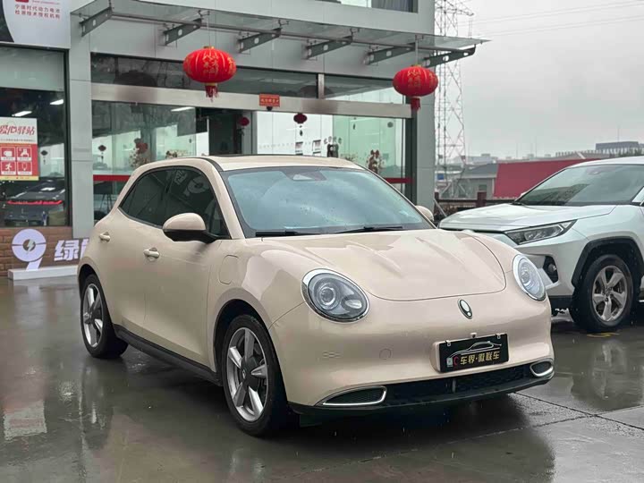 Ora Good Cat (03) 2024 2024款 401km 尊荣型 126kW