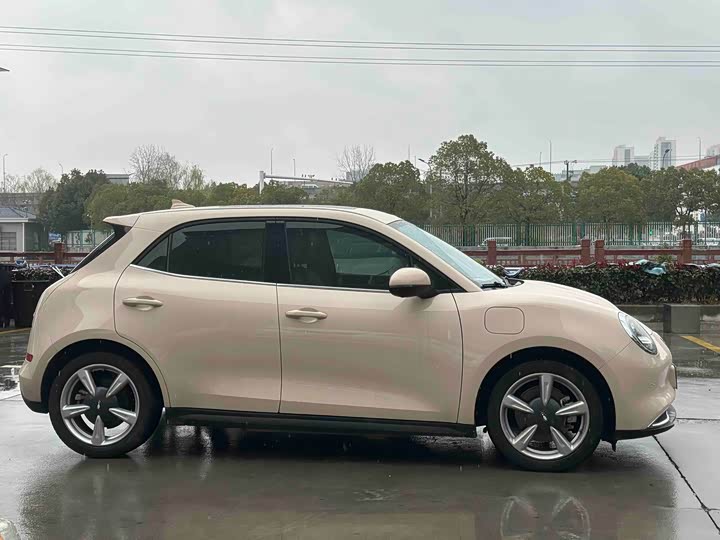 Ora Good Cat (03) 2024 2024款 401km 尊荣型 126kW