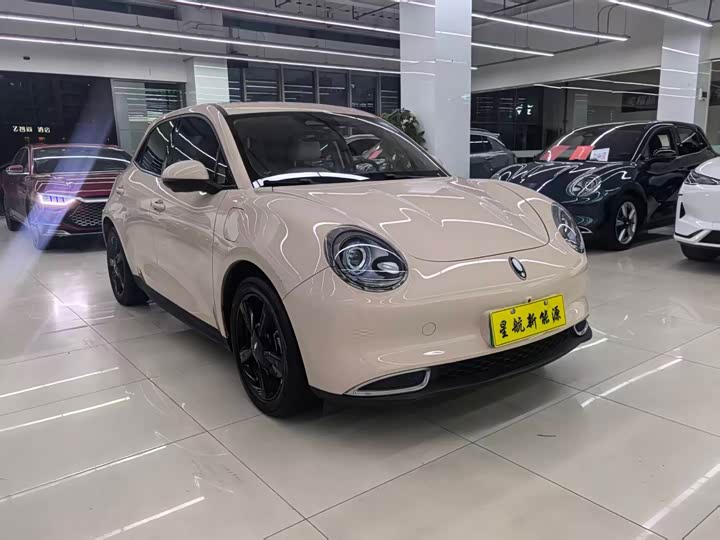 Ora Good Cat (03) 2024 2024款 401km 豪华型