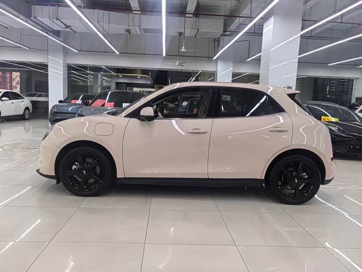 Ora Good Cat (03) 2024 2024款 401km 豪华型